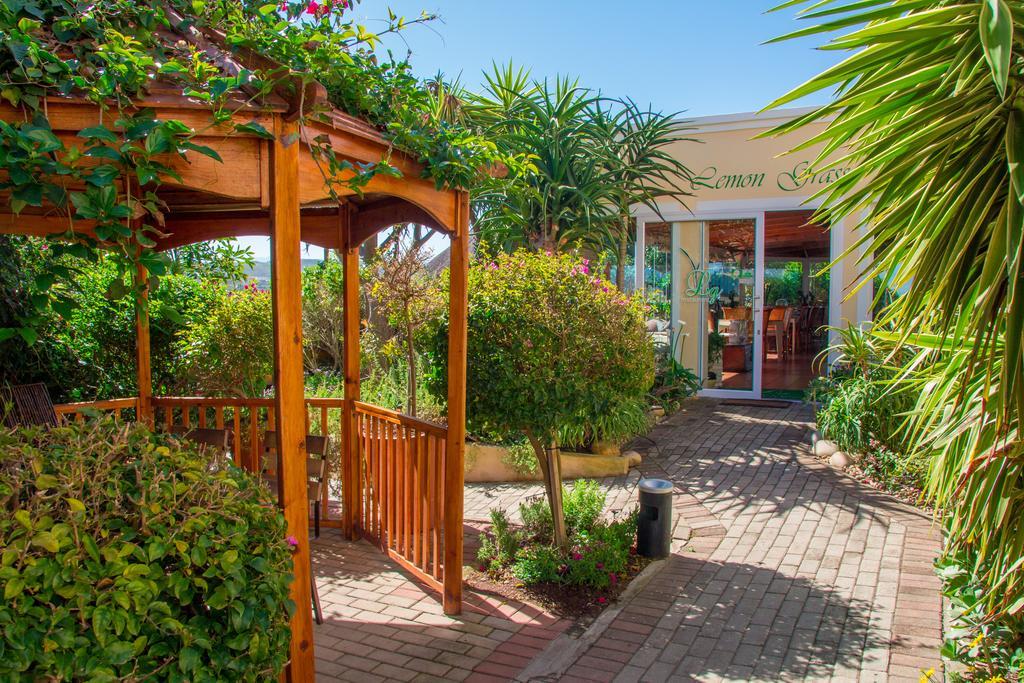 Milkwood Manor On Sea Bed & Breakfast Plettenberg Bay Exterior photo
